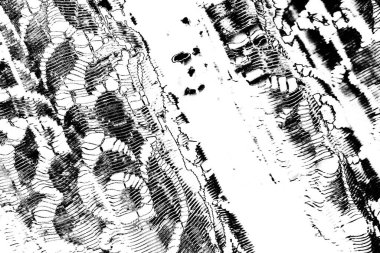 Soyut arkaplan. monokrom dokusu. resim siyah ve beyaz tonları içerir.