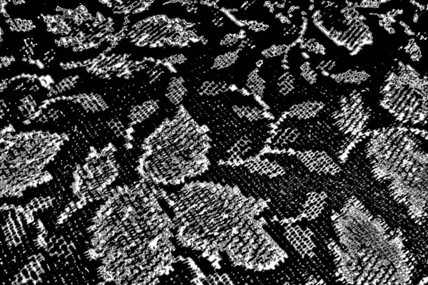 Sfondo Astratto Texture Monocromatica Immagine Compreso Effetto Toni Bianco Nero — Foto Stock