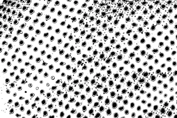 Абстрактный Фон Монохромная Текстура Изображение Включая Эффект Черно Белых Тонов — стоковое фото