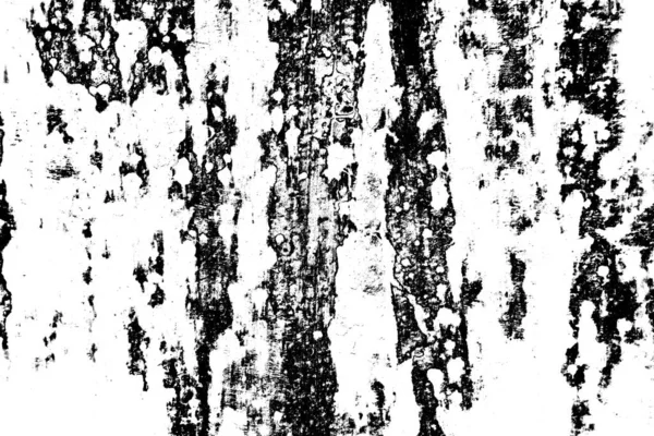 Fundo Grunge Abstrato Textura Monocromática Preto Branco Texturizado Fundo — Fotografia de Stock