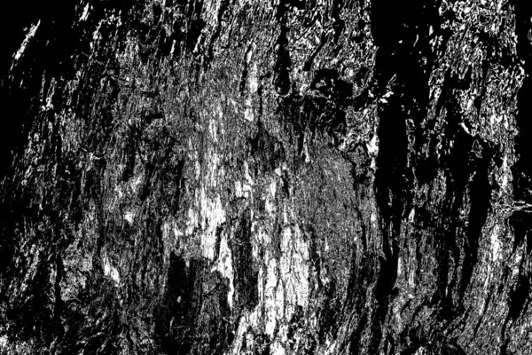 Fondo Texturizado Blanco Negro Abstracto Textura Monocromática — Foto de Stock