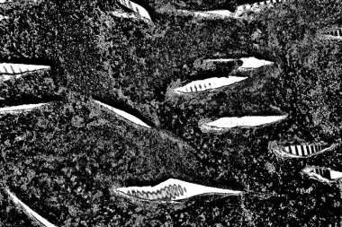 Soyut arkaplan. monokrom dokusu. resim siyah ve beyaz tonları içerir.