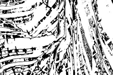 Soyut grunge arkaplanı. Monokrom dokusu. Siyah ve beyaz desenli arkaplan