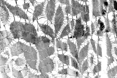 Soyut arkaplan. monokrom dokusu. resim siyah ve beyaz tonları içerir.