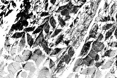 Soyut arkaplan. monokrom dokusu. resim siyah ve beyaz tonları içerir.