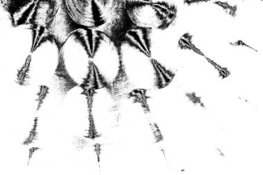 Soyut arkaplan. monokrom dokusu. resim siyah ve beyaz tonları içerir.