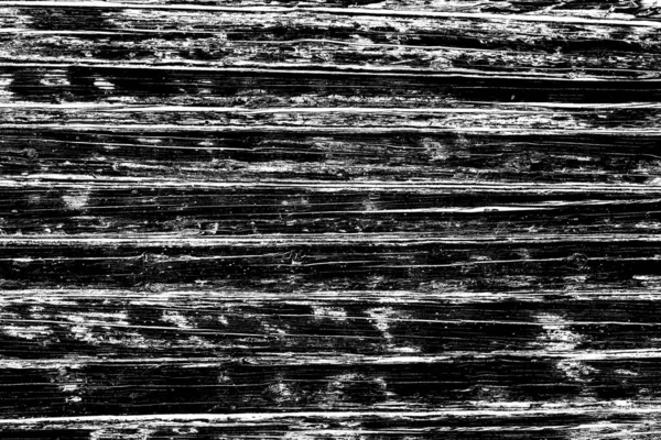 Fond Abstrait Texture Monochrome Image Incluant Effet Les Tons Noir — Photo