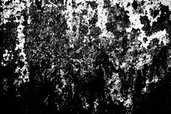 Sfondo Astratto Texture Monocromatica Immagine Compreso Effetto Toni Bianco Nero — Foto Stock