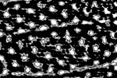 Soyut arkaplan. monokrom dokusu. resim siyah ve beyaz tonları içerir.