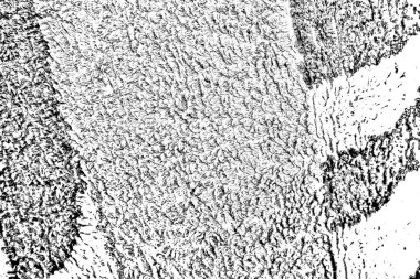 Soyut siyah beyaz arkaplan. Monokrom dokusu. 