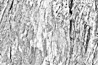 Soyut arkaplan. monokrom dokusu. resim siyah ve beyaz tonları içerir.