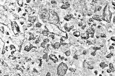 Soyut siyah beyaz arkaplan. Monokrom dokusu. 