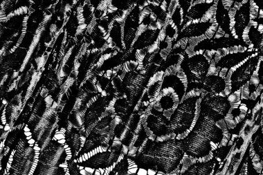 Soyut siyah beyaz arkaplan. Monokrom dokusu. 