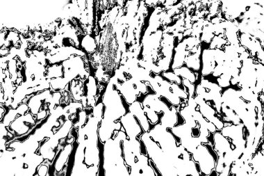 Soyut siyah beyaz arkaplan. Monokrom dokusu. 