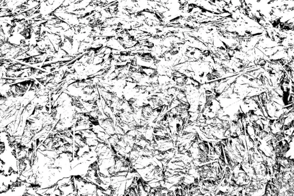 Fondo Texturizado Blanco Negro Abstracto Textura Monocromática —  Fotos de Stock