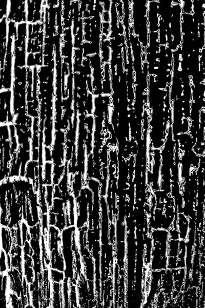 Abstracte Zwart Wit Textuur Achtergrond Monochrome Textuur — Stockfoto