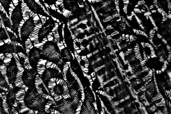 Fondo Texturizado Blanco Negro Abstracto Textura Monocromática —  Fotos de Stock