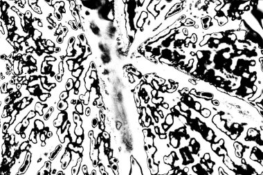 Soyut arkaplan. monokrom dokusu. resim siyah ve beyaz tonları içerir.