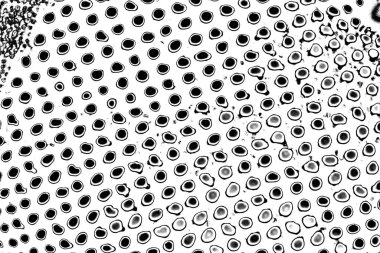 Soyut arkaplan. Monokrom dokusu.