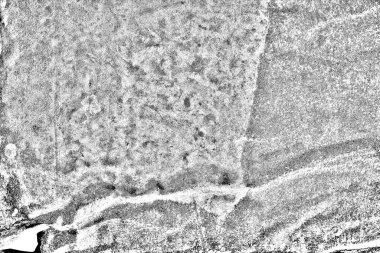 Soyut arkaplan. monokrom dokusu. resim siyah ve beyaz tonları içerir.