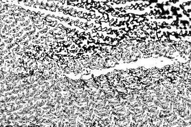 Soyut siyah beyaz arkaplan. Monokrom dokusu. 