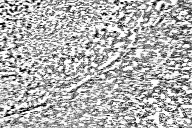 Soyut arkaplan. monokrom dokusu. resim siyah ve beyaz tonları içerir.