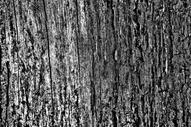 Soyut arkaplan. Monokrom dokusu.