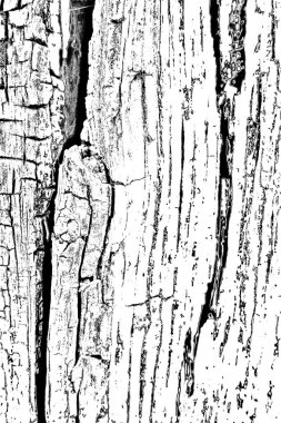 Soyut arkaplan. Monokrom dokusu.