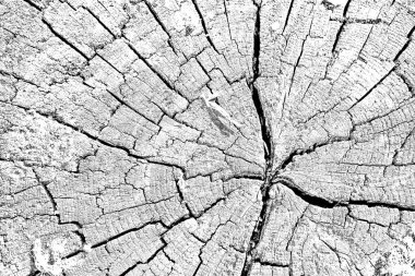 Soyut arkaplan. Monokrom dokusu.