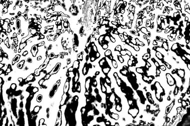 Soyut arkaplan. monokrom dokusu. resim siyah ve beyaz tonları içerir.