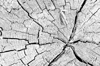 Soyut arkaplan. Monokrom dokusu.