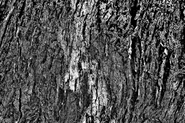 Sfondo Astratto Struttura Monocromatica — Foto Stock