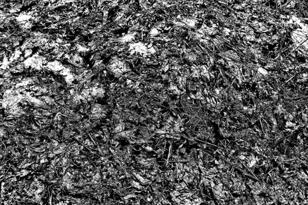 Abstract Black White Textured Background Monochrome Texture — Stock Photo, Image