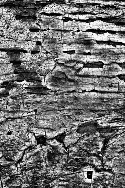 Sfondo Astratto Texture Monocromatica Immagine Compreso Effetto Toni Bianco Nero — Foto Stock