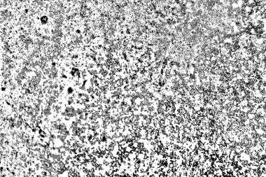 Soyut arkaplan. Monokrom dokusu.