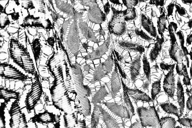 Soyut arkaplan. monokrom dokusu. resim siyah ve beyaz tonları içerir.