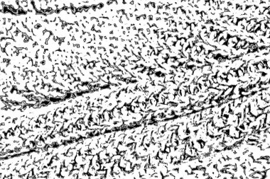 Soyut arkaplan. Monokrom dokusu.