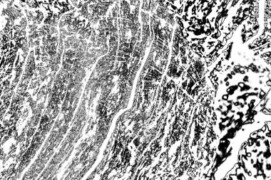 Soyut arkaplan. monokrom dokusu. resim siyah ve beyaz tonları içerir.