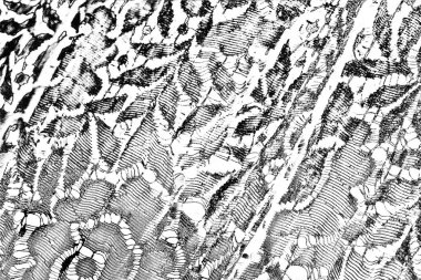 Soyut arkaplan. monokrom dokusu. resim siyah ve beyaz tonları içerir.