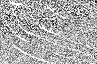 Soyut siyah beyaz arkaplan. Monokrom dokusu. 