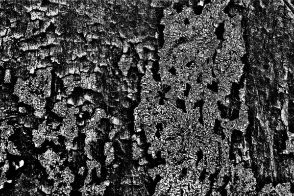 Fond Abstrait Texture Monochrome Image Incluant Effet Les Tons Noir — Photo