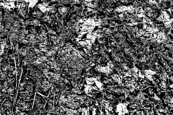 Fondo Texturizado Blanco Negro Abstracto Textura Monocromática —  Fotos de Stock