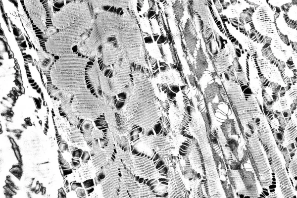 Abstrakt Bakgrund Monokrom Konsistens — Stockfoto