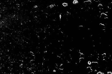 Soyut siyah beyaz arkaplan. Monokrom dokusu. 