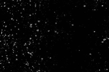 Soyut siyah beyaz arkaplan. Monokrom dokusu. 