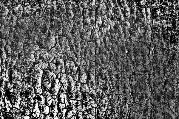 Abstract Black White Textured Background Monochrome Texture — Stock Photo, Image