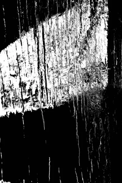 Abstract Black White Textured Background Monochrome Texture — Stock Photo, Image