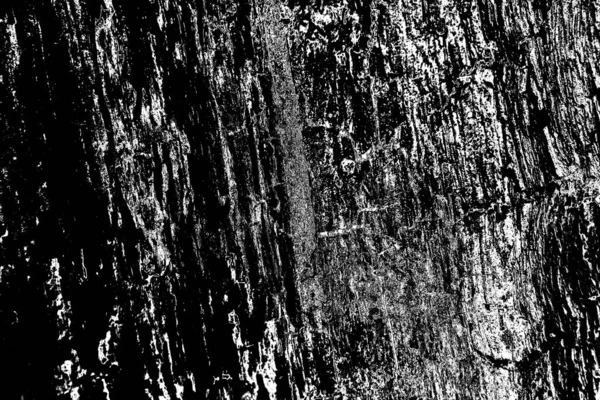 Fond Abstrait Texture Monochrome Image Incluant Effet Les Tons Noir — Photo