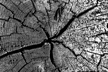 Soyut siyah beyaz arkaplan. Monokrom dokusu