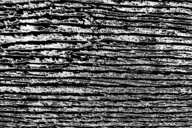 Soyut siyah beyaz arkaplan. Monokrom dokusu